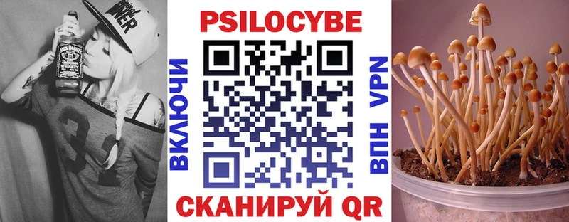 Купить где Родники Галлюциногенные грибы Cubensis